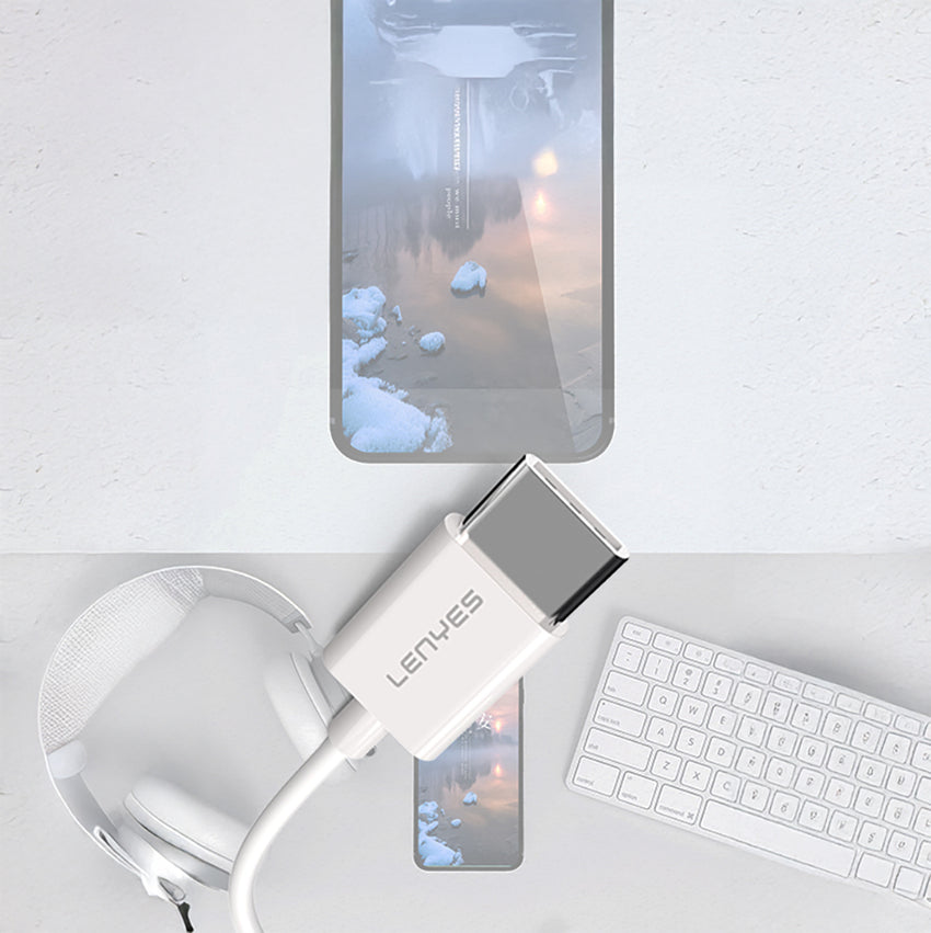 Lenyes AX91 Type-C to 3.5mm | Hi-Fi Aux Ses Adaptörü